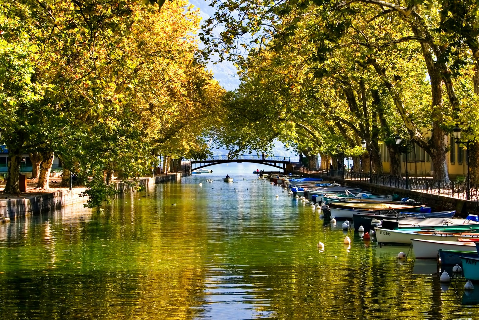 Applicateur enduit décoratif Annecy : L'art de sublimer vos intérieurs haut de gamme